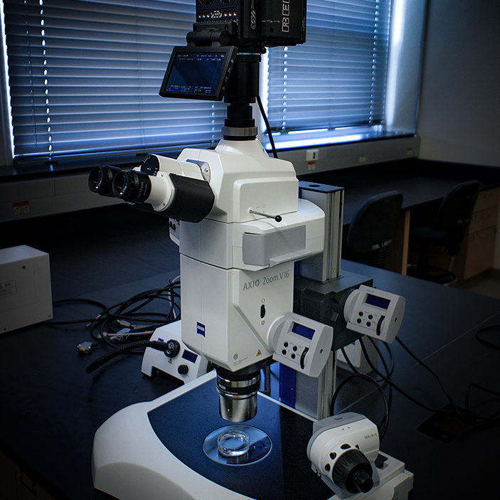 Cinematic Microscopy